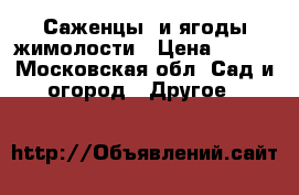 Саженцы  и ягоды жимолости › Цена ­ 500 - Московская обл. Сад и огород » Другое   